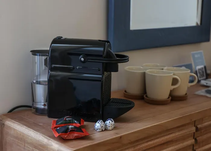 Alma Experience * 벤티밀리아